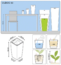 office-plants-lechuza-cubico-30